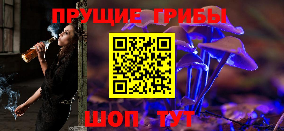 Курган  Псилоцибиновые грибы ЛСД  Вход с VPN 